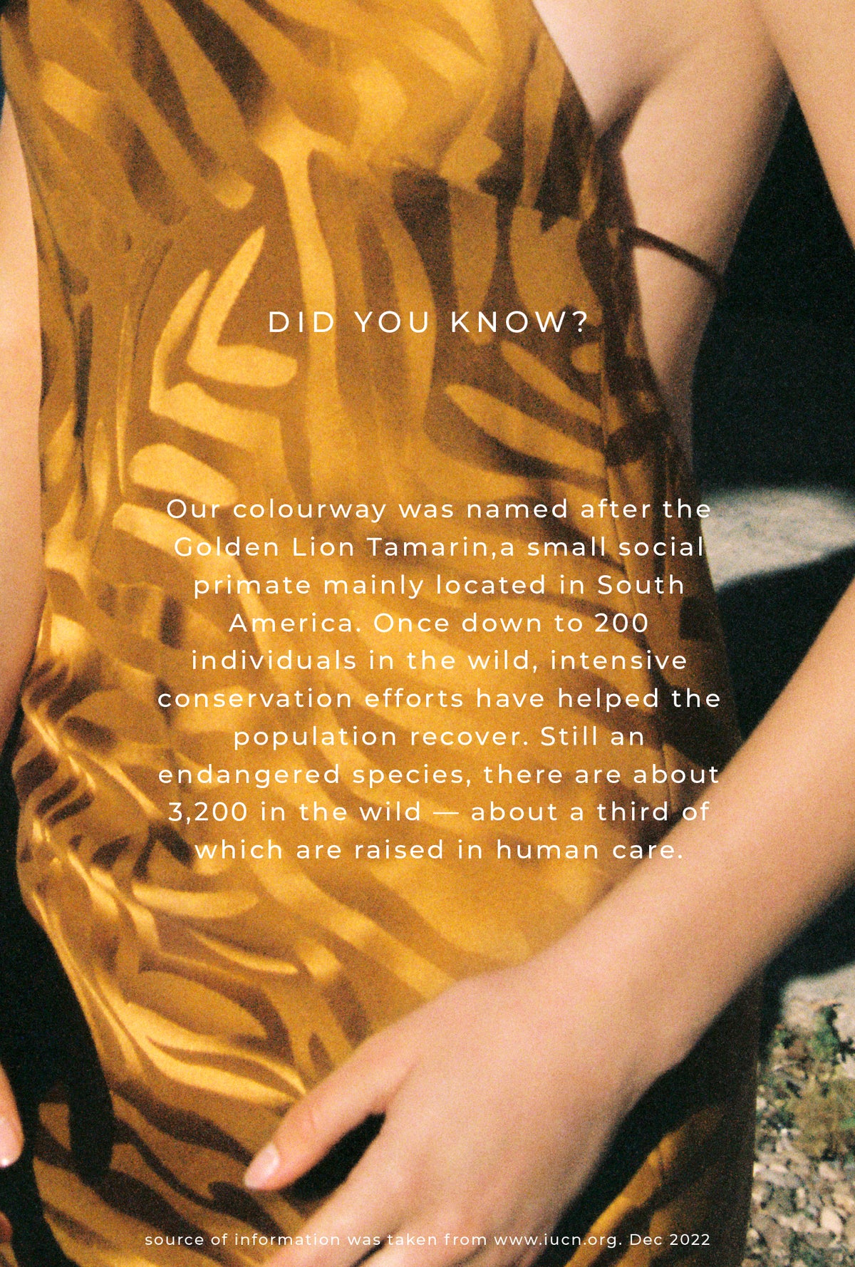 90s Slip Dress Tamarin Jacquard