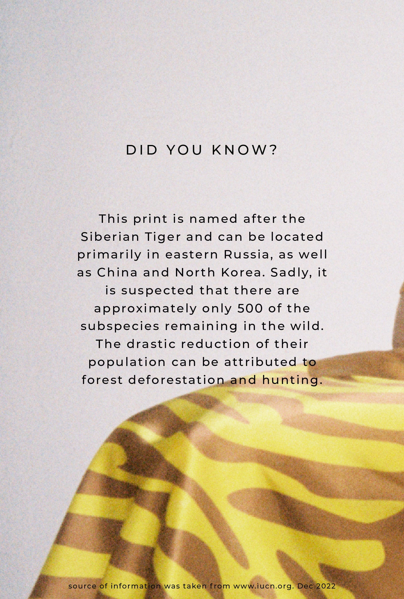 V-Neck Crop Top Tiger Matisse